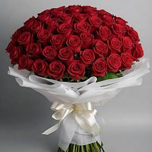 Букет 101 Красная роза Блэк Мэджик в Саратовской