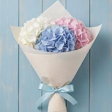 Букет цветов из:  Гортензия в Саратовской
