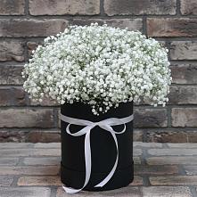 Цветочная композиция из Гипсофила в шляпной коробке #REPLACE_PRED# Саратовской