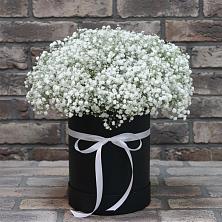 Цветочная композиция из Гипсофила в шляпной коробке в Саратовской