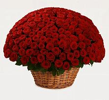 Премиум букет из: Розы в Саратовской