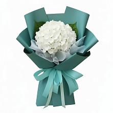 Букет цветов из:  Гортензия в Саратовской